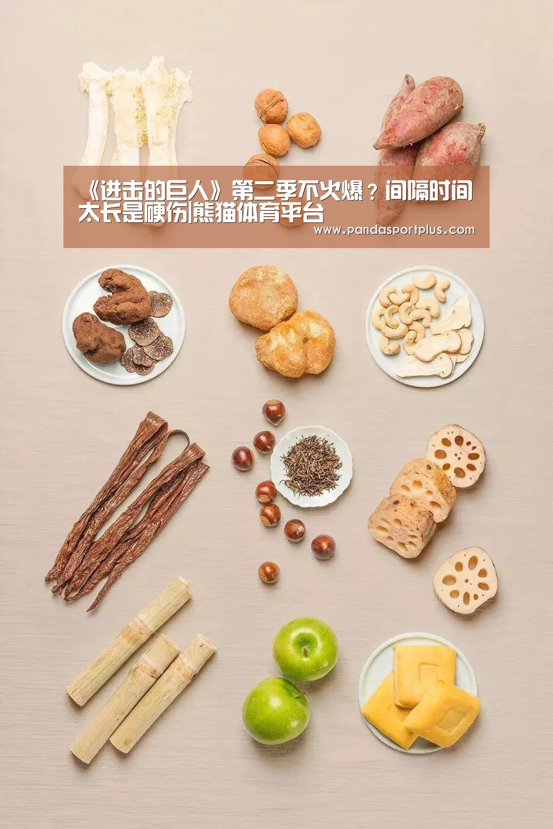 熊猫体育官网