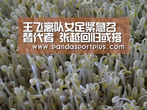 熊猫体育官网
