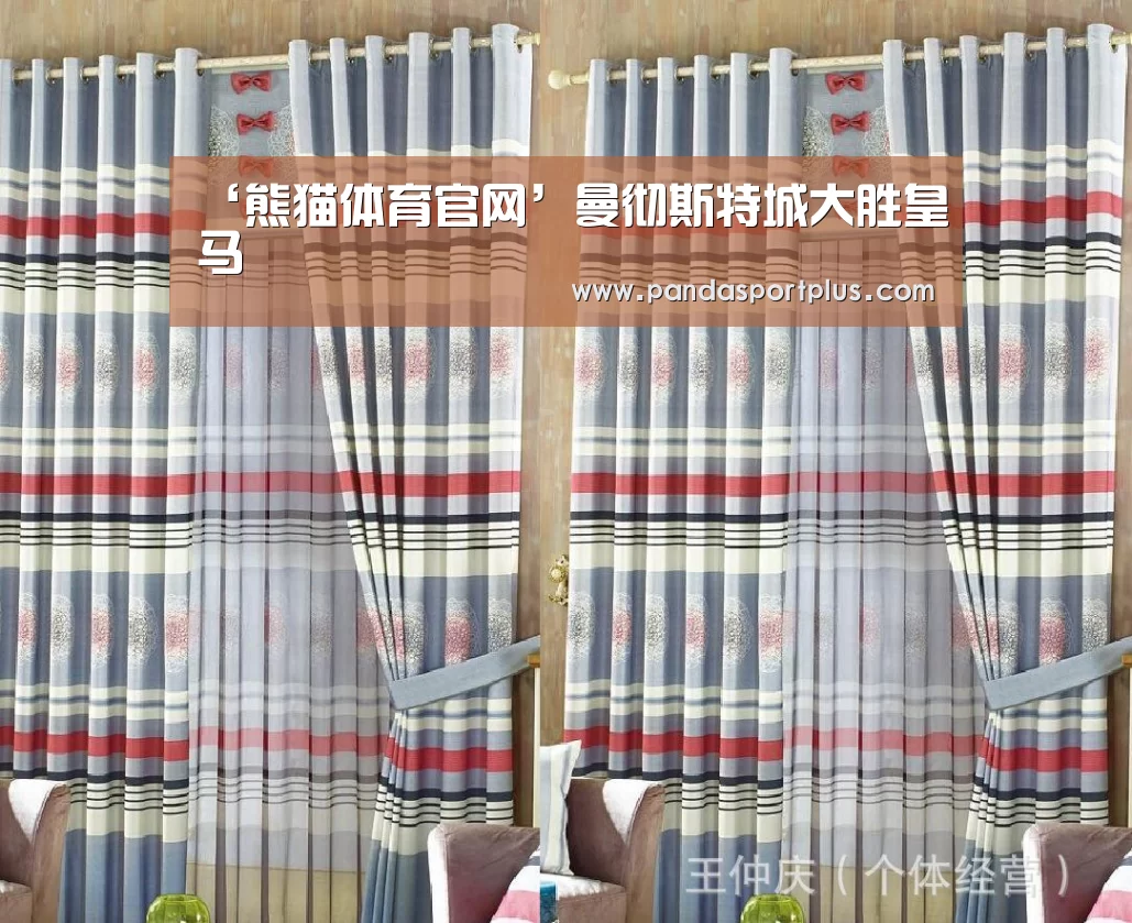 熊猫体育官网