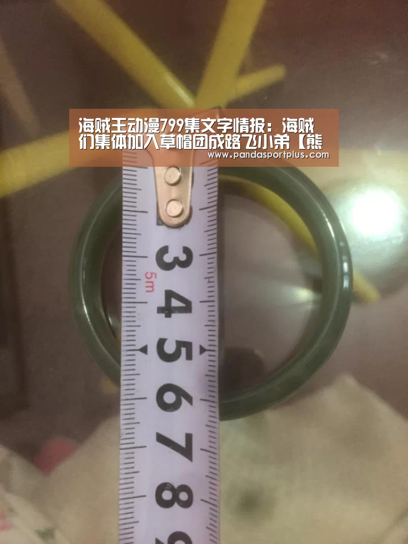 海贼王动漫799集文字情报:海贼们集体加入草帽团成路飞小弟【熊猫体育平台】(图1) 熊猫体育app